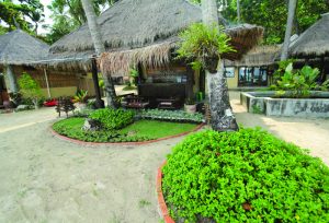 Our resort 29